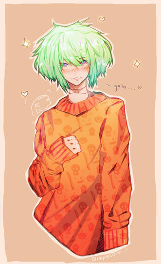 Sweater Lio